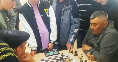 Саргатские шахматисты заняли первое место в северной зоне областной Королевы спорта “Тара-2024”