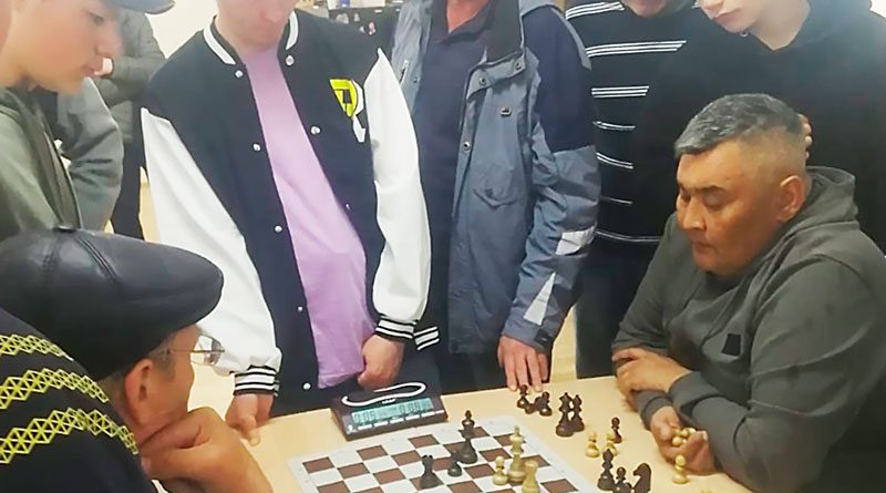 Саргатские шахматисты заняли первое место в северной зоне областной Королевы спорта “Тара-2024”