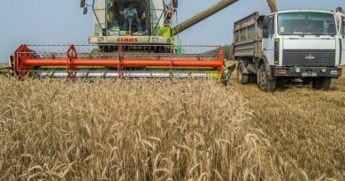 В этом году в Сибири планируют собрать не менее 16 миллионов тонн зерна