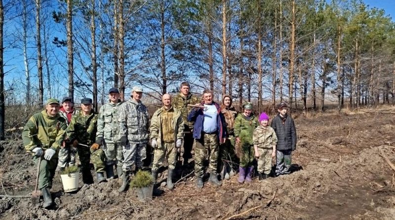 В Омской области  День Победы встречали посадками леса